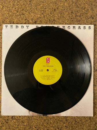 Teddy Pendergrass : Teddy Pendergrass (LP, Album)