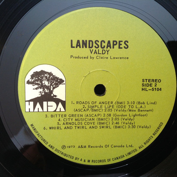 Valdy : Landscapes (LP, Album, Gat)