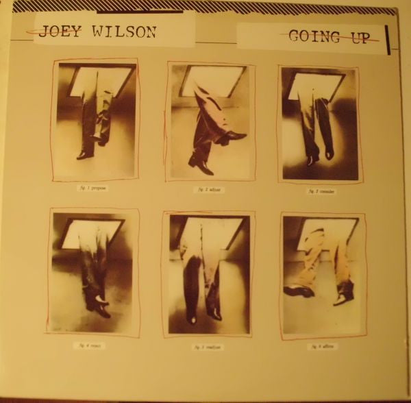 Joey Wilson : Going Up (LP, Album)