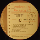Joey Wilson : Going Up (LP, Album)