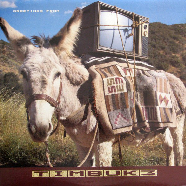 Timbuk 3 : Greetings From Timbuk 3 (LP, Album)