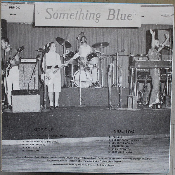 Something Blue (3) : At The Pines (LP, Album)